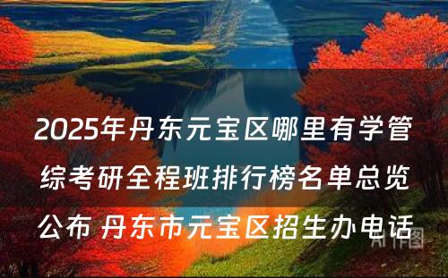 2025年丹东元宝区哪里有学管综考研全程班排行榜名单总览公布 丹东市元宝区招生办电话