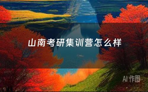 山南考研集训营怎么样