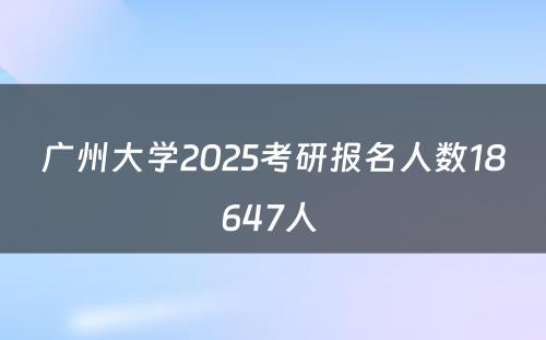 广州大学2025考研报名人数18647人 