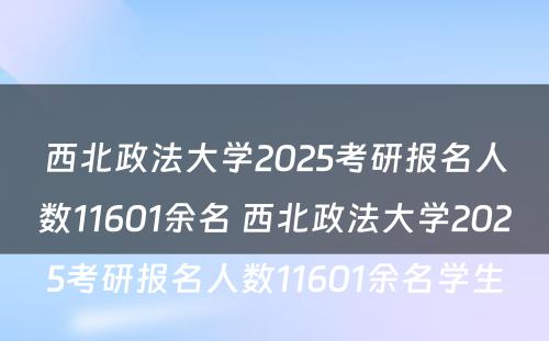 西北政法大学2025考研报名人数11601余名 西北政法大学2025考研报名人数11601余名学生