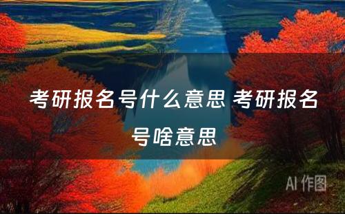 考研报名号什么意思 考研报名号啥意思