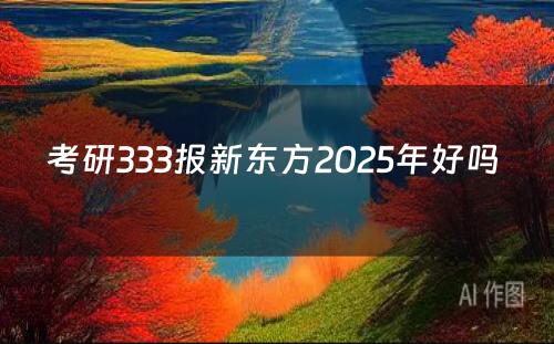 考研333报新东方2025年好吗 