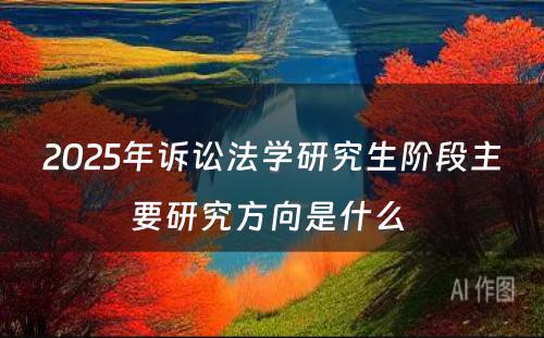 2025年诉讼法学研究生阶段主要研究方向是什么 