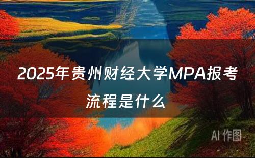 2025年贵州财经大学MPA报考流程是什么 