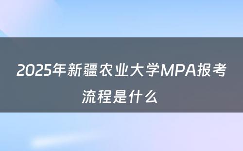 2025年新疆农业大学MPA报考流程是什么 