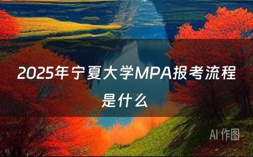 2025年宁夏大学MPA报考流程是什么 