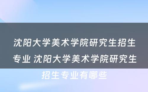 沈阳大学美术学院研究生招生专业 沈阳大学美术学院研究生招生专业有哪些