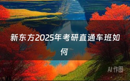 新东方2025年考研直通车班如何 