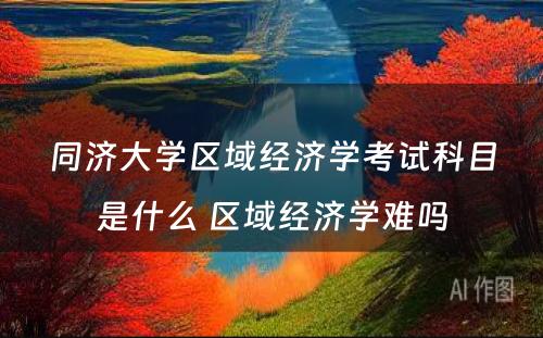 同济大学区域经济学考试科目是什么 区域经济学难吗