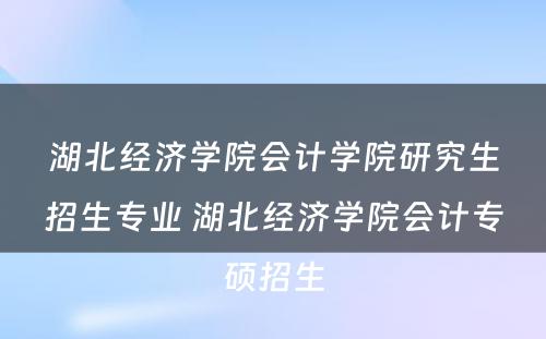 湖北经济学院会计学院研究生招生专业 湖北经济学院会计专硕招生