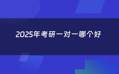 2025年考研一对一哪个好 