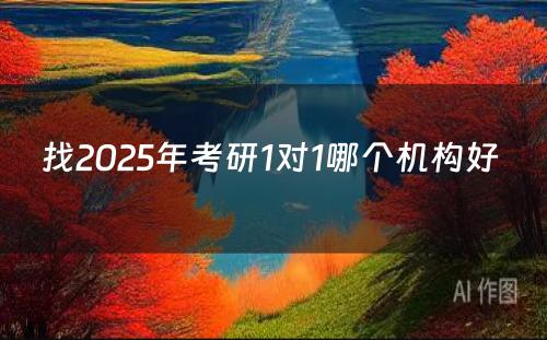 找2025年考研1对1哪个机构好 