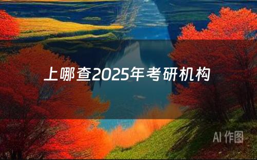 上哪查2025年考研机构 