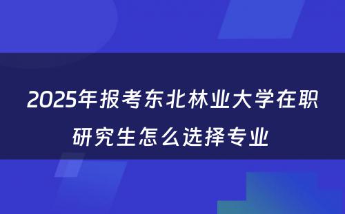 2025年报考东北林业大学在职研究生怎么选择专业 