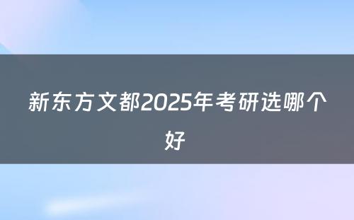 新东方文都2025年考研选哪个好 