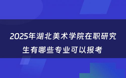 2025年湖北美术学院在职研究生有哪些专业可以报考 