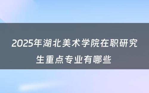 2025年湖北美术学院在职研究生重点专业有哪些 