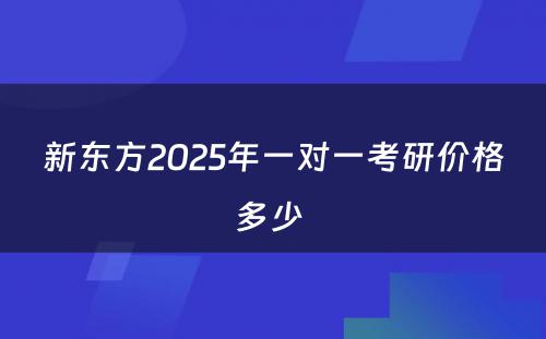 新东方2025年一对一考研价格多少 