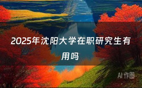 2025年沈阳大学在职研究生有用吗 