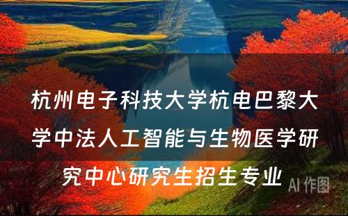 杭州电子科技大学杭电巴黎大学中法人工智能与生物医学研究中心研究生招生专业 