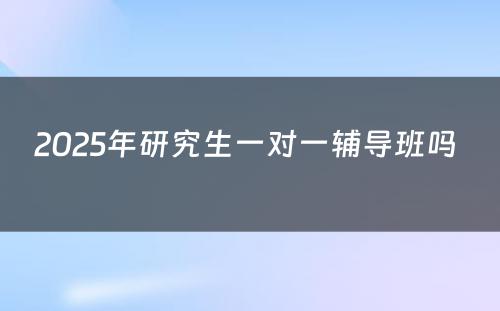 2025年研究生一对一辅导班吗 