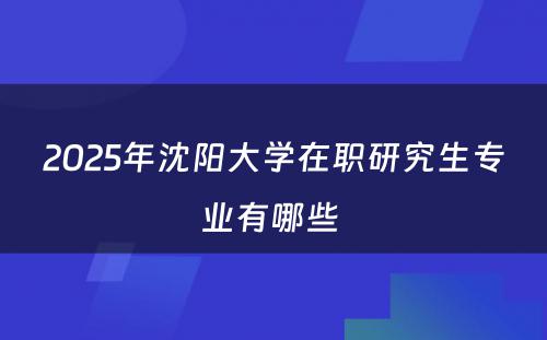 2025年沈阳大学在职研究生专业有哪些 