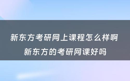 新东方考研网上课程怎么样啊 新东方的考研网课好吗