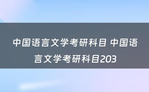 中国语言文学考研科目 中国语言文学考研科目203