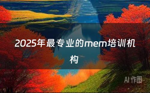 2025年最专业的mem培训机构 