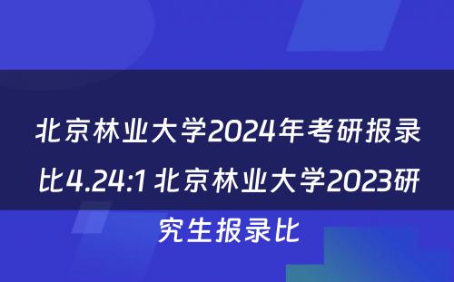 北京林业大学2024年考研报录比4.24:1 北京林业大学2023研究生报录比