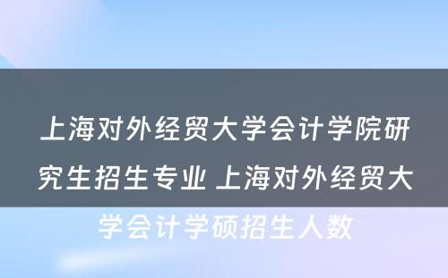 上海对外经贸大学会计学院研究生招生专业 上海对外经贸大学会计学硕招生人数