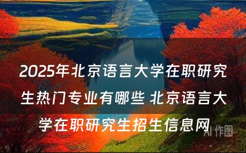 2025年北京语言大学在职研究生热门专业有哪些 北京语言大学在职研究生招生信息网