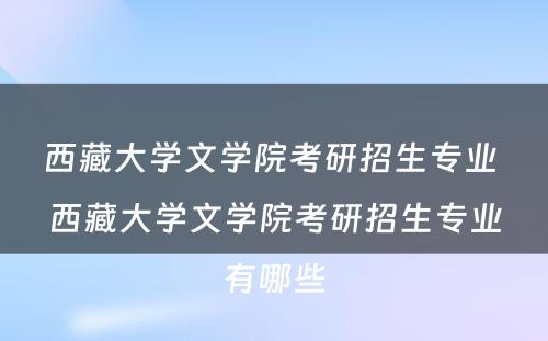 西藏大学文学院考研招生专业 西藏大学文学院考研招生专业有哪些