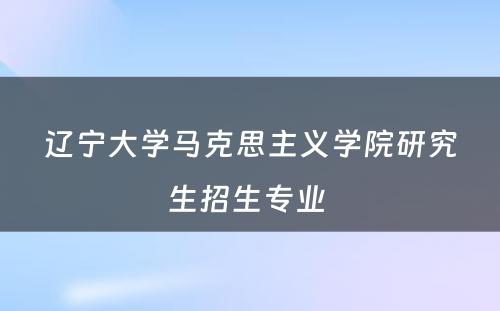 辽宁大学马克思主义学院研究生招生专业 