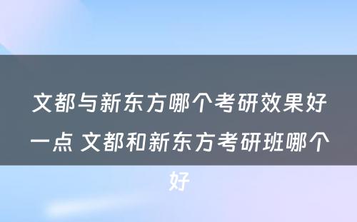 文都与新东方哪个考研效果好一点 文都和新东方考研班哪个好