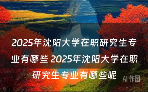 2025年沈阳大学在职研究生专业有哪些 2025年沈阳大学在职研究生专业有哪些呢