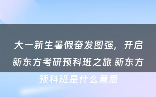 大一新生暑假奋发图强，开启新东方考研预科班之旅 新东方预科班是什么意思