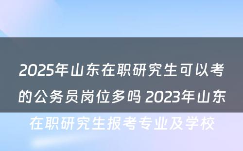 2025年山东在职研究生可以考的公务员岗位多吗 2023年山东在职研究生报考专业及学校