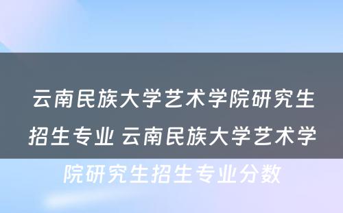 云南民族大学艺术学院研究生招生专业 云南民族大学艺术学院研究生招生专业分数