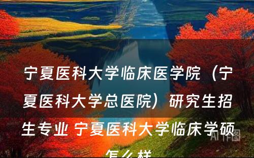 宁夏医科大学临床医学院（宁夏医科大学总医院）研究生招生专业 宁夏医科大学临床学硕怎么样