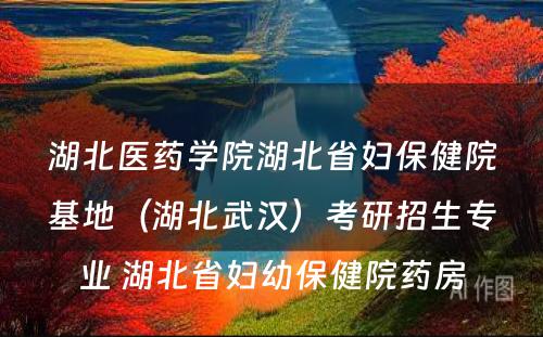 湖北医药学院湖北省妇保健院基地（湖北武汉）考研招生专业 湖北省妇幼保健院药房