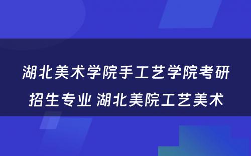 湖北美术学院手工艺学院考研招生专业 湖北美院工艺美术