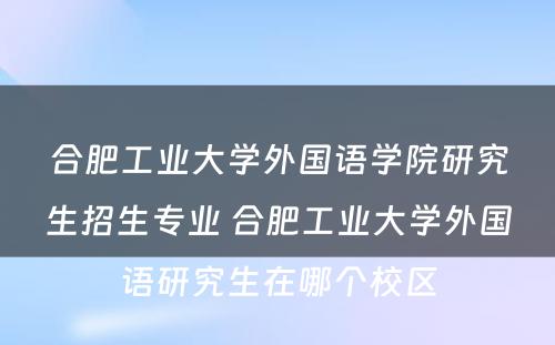 合肥工业大学外国语学院研究生招生专业 合肥工业大学外国语研究生在哪个校区