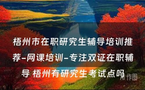 梧州市在职研究生辅导培训推荐-网课培训-专注双证在职辅导 梧州有研究生考试点吗