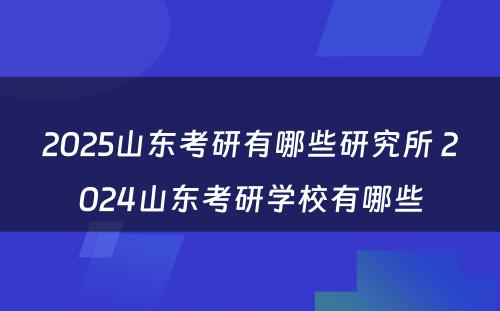 2025山东考研有哪些研究所 2024山东考研学校有哪些