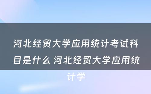 河北经贸大学应用统计考试科目是什么 河北经贸大学应用统计学