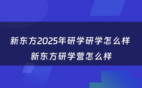 新东方2025年研学研学怎么样 新东方研学营怎么样