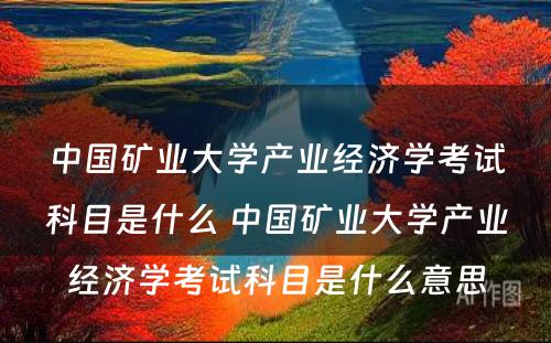 中国矿业大学产业经济学考试科目是什么 中国矿业大学产业经济学考试科目是什么意思