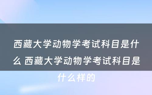 西藏大学动物学考试科目是什么 西藏大学动物学考试科目是什么样的