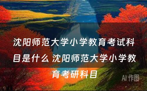 沈阳师范大学小学教育考试科目是什么 沈阳师范大学小学教育考研科目